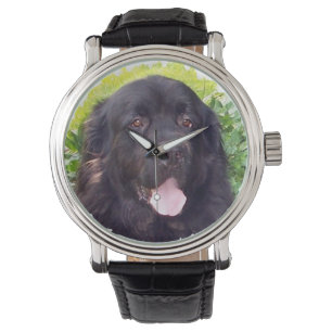 Montre sportive de chien de Terre-Neuve