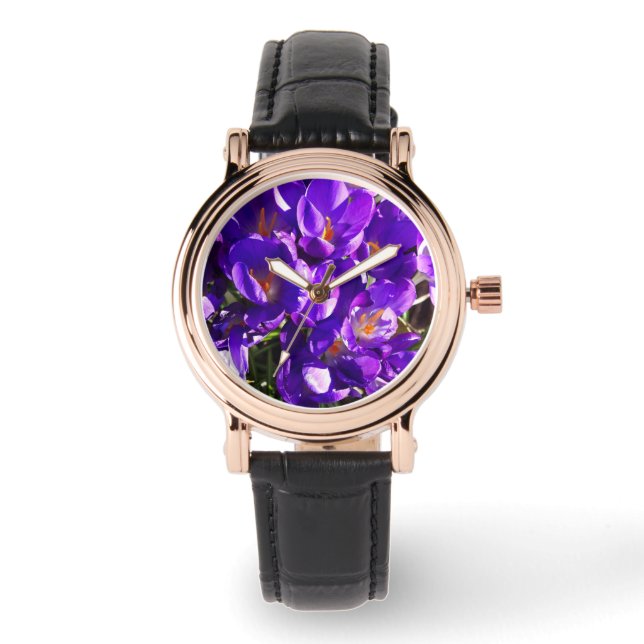 MONTRE SPRING CROCUS (Recto)