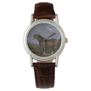 Montre Stallion de Clydesdale (Thoroughbred Horse) (Anima