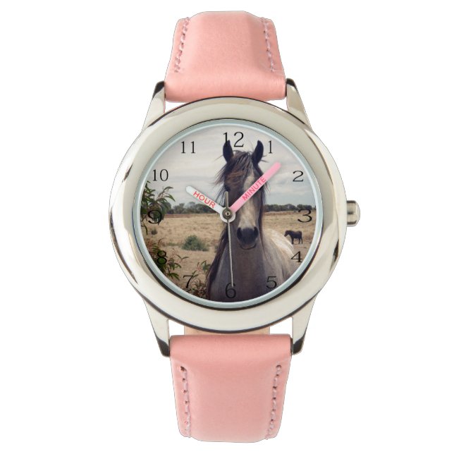 Montre Star The Arab Horse, (devant)