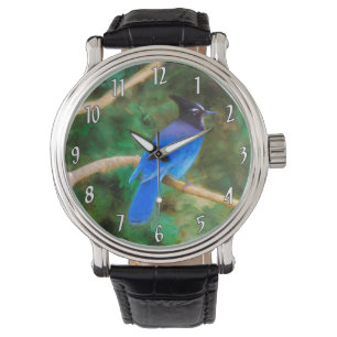 Montre Steller's Jay Painting - Art d'Oiseau sauvage orig