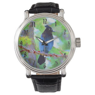 Montre Steller's Jay Painting - Art d'Oiseau sauvage orig