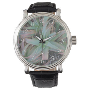 Montre Succulentes du Nevada