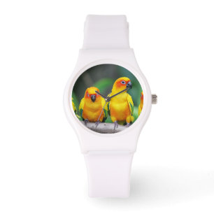Montre Sun Conures