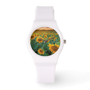 Montre Sunflower Field à Longmont, Colorado