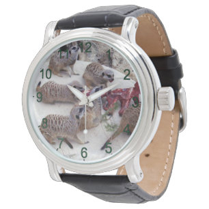 Montre Suricates carnivores ayant des côtes pour le thé,
