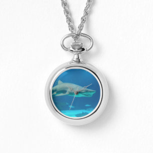 Montre Surveillance des requins