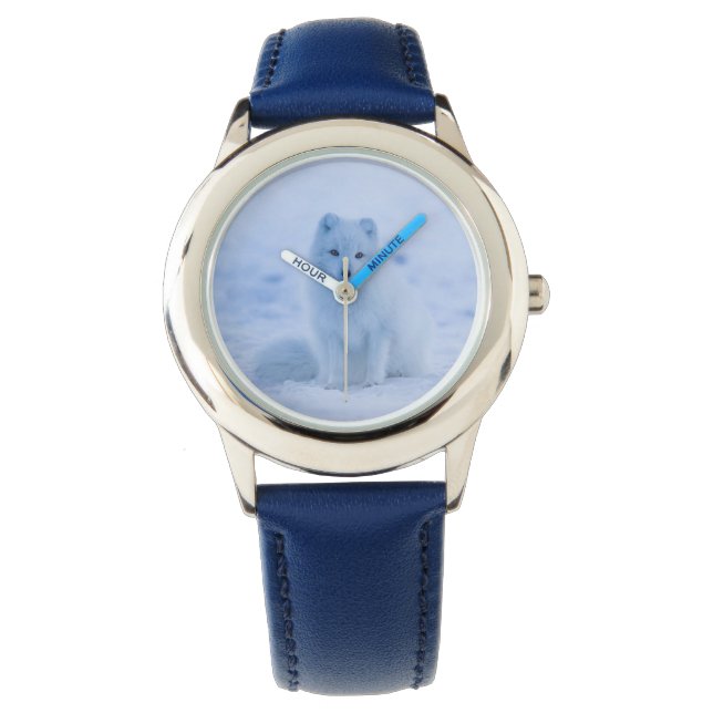 Montre surveillance du renard arctique (devant)