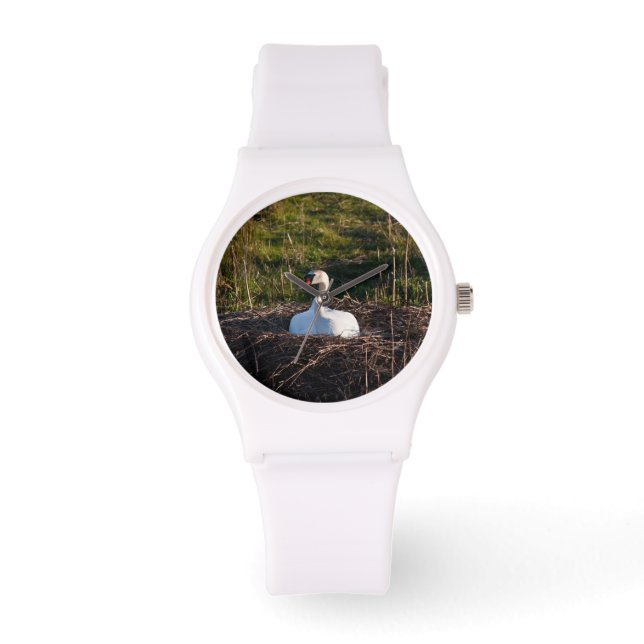 Montre Swan sur nid (Recto)