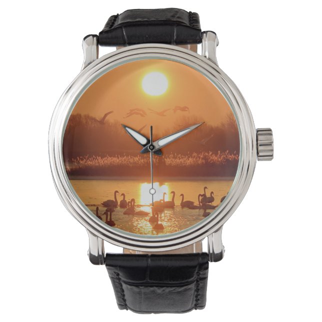 Montre Swans dans le lac au coucher du soleil (devant)