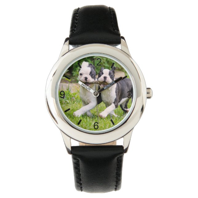 Montre Sympa drôles Boston Terrier chiens chiots jouer - (devant)