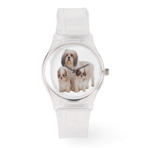Montre T-shirts Shih-tzu