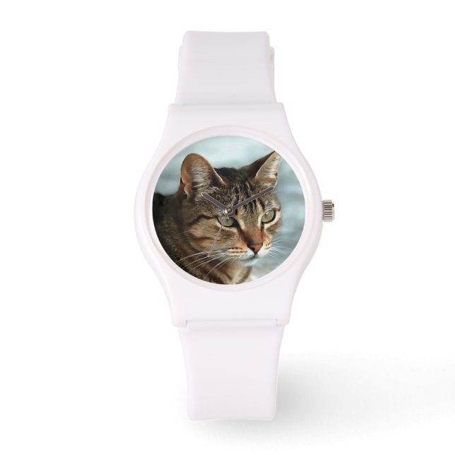Montre Tabby Cat étonnant FermerPortrait Artistique (Recto)