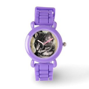 Montre Tabby Kitten
