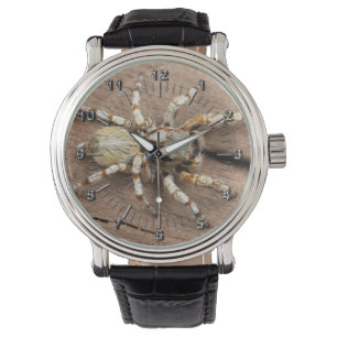 Montre Tarentule