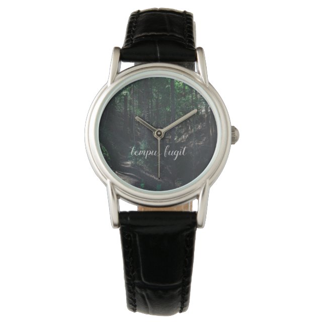 Montre Tempus Fugit (devant)