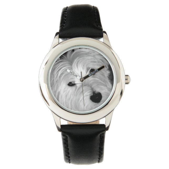 Montre Terrier de l'Ouest (devant)
