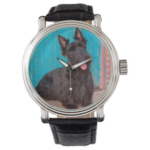 Montre Térrier écossais assis près d'une porte colorée