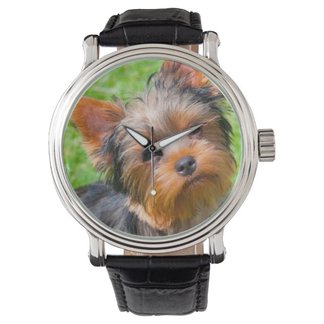 Montre Terrier looking up (devant)