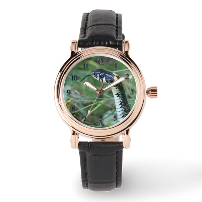 Montre Tête de serpent (Recto)