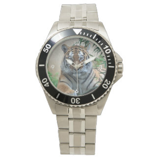 Montre Tiger_20171103_by_JAMFoto