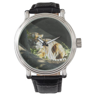 Montre Tiger Catnap