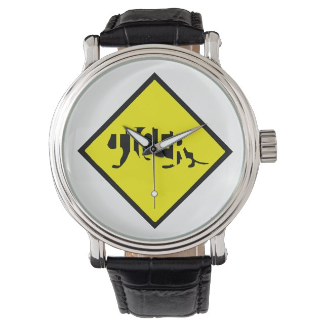 MONTRE TIGER　WATCH (devant)