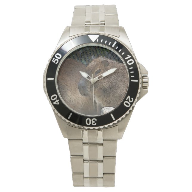 Montre toony capibarah (devant)