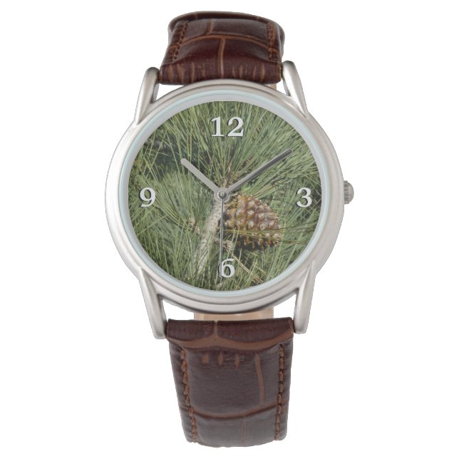 Montre Torrey Pine gros plan botanique Californie (devant)