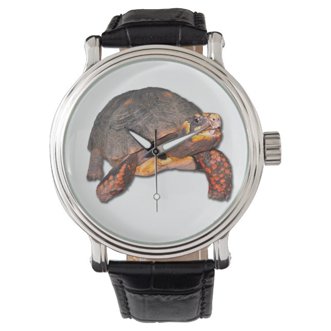 Montre Tortoise (devant)