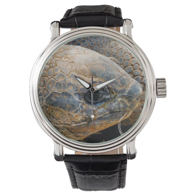 MONTRE TORTOISE GÉANT (devant)
