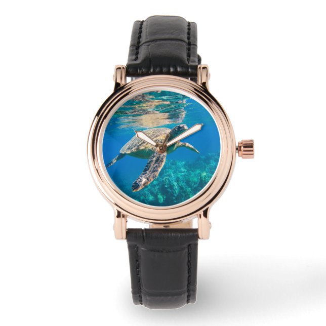 Montre Tortue de mer (Recto)
