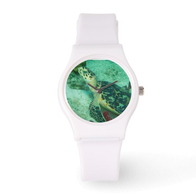 Montre Tortue sous-marine (Recto)