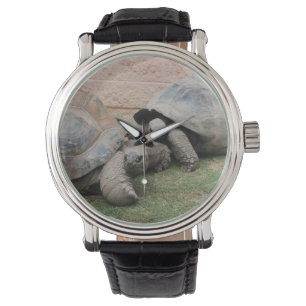 Montre tortues géantes