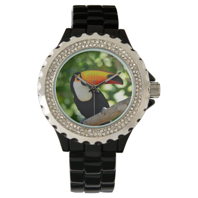 Montre Toucan (devant)