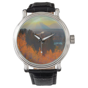 Montre Trembles dorés au-dessus de la rivière Snake au co