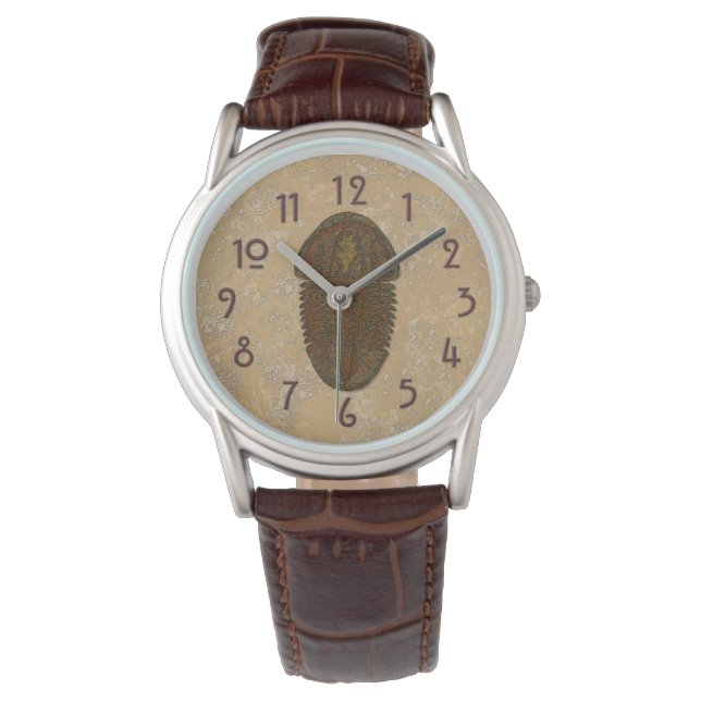Montre Trilobite fossile Asaphiscus (devant)