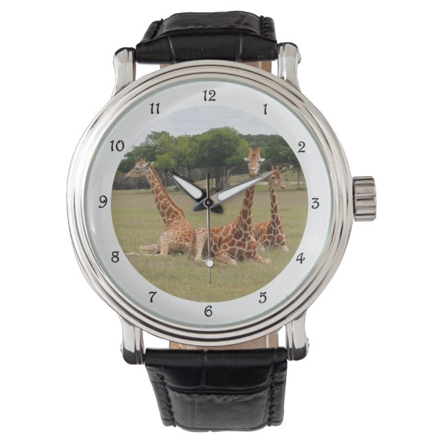 Montre Trois girafe à Fossil Rim (devant)