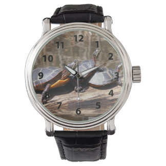 Montre Trois Tortues Sur Une Voie De Journal