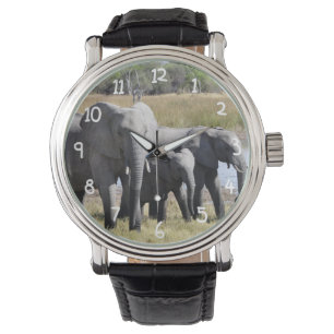 Montre Troupeaux d'éléphant de l'Afrique