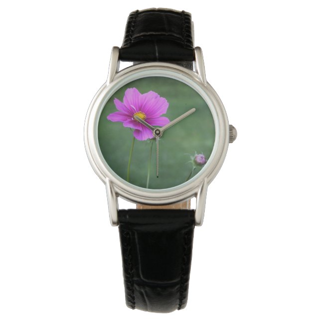 Montre Un aster mexicain (devant)