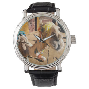 Montre Un chameau convivial attend son prochain coureur, 