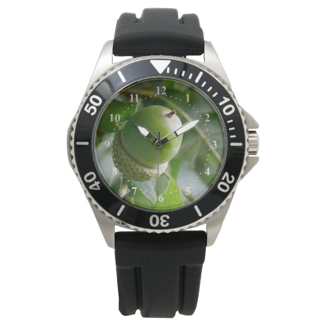 Montre un chêne (devant)