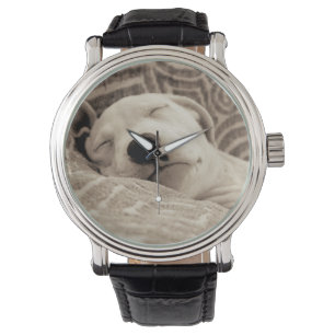Montre Un chien fatigué