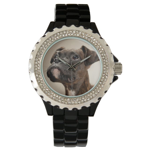 Montre Un chiot de Brindle Boxer qui regarde curieusement (devant)