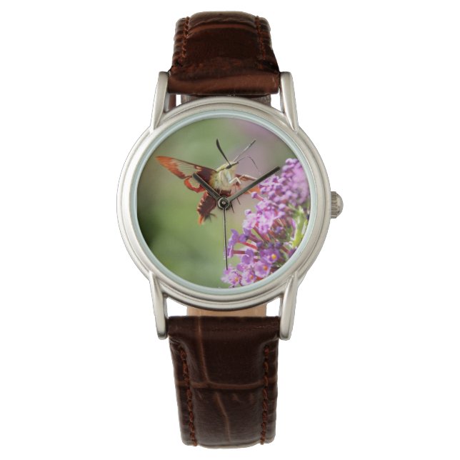 Montre Un papillon de nuit sur un papillon (devant)