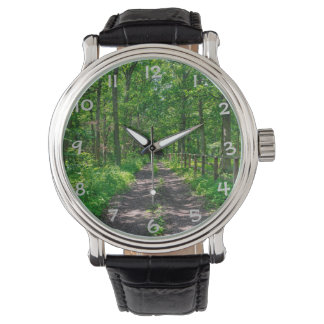 Montre Un sentier dans la forêt verte