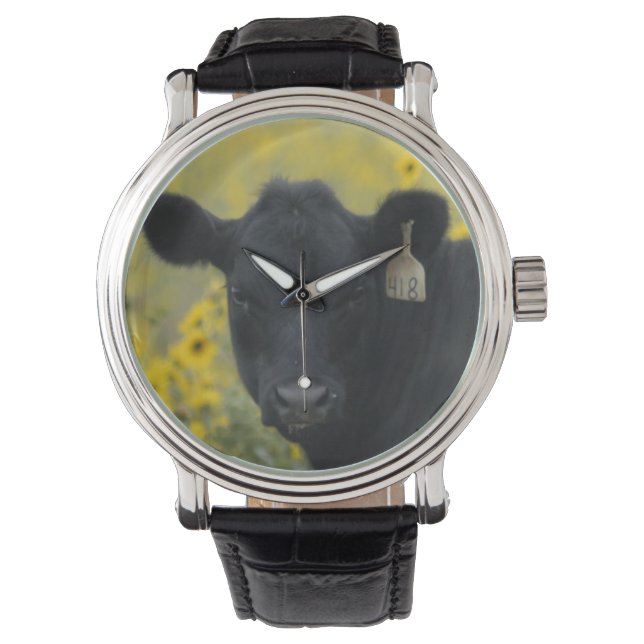 Montre Un veau au milieu des tournesols du Nebraska (devant)