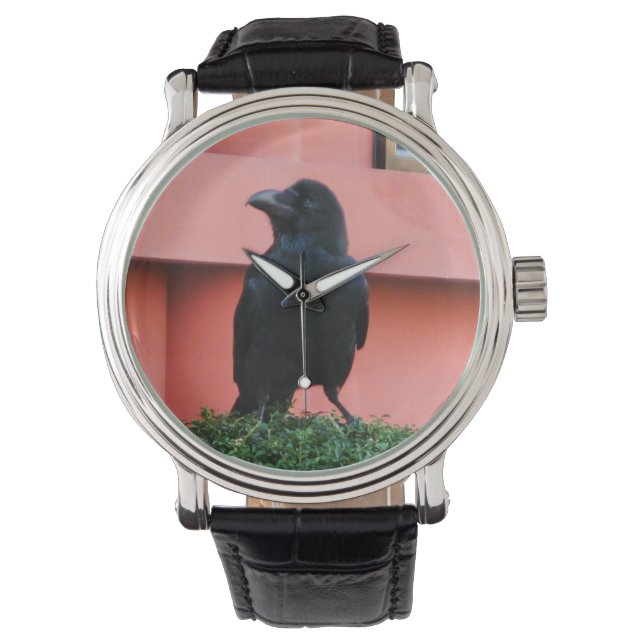 Montre Une Jungle À Gros Billages Croque Une Perche Sur U (devant)