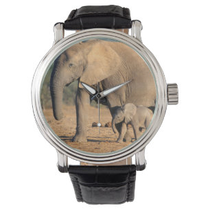 Montre Une mère et un veau d'éléphant africain sur le